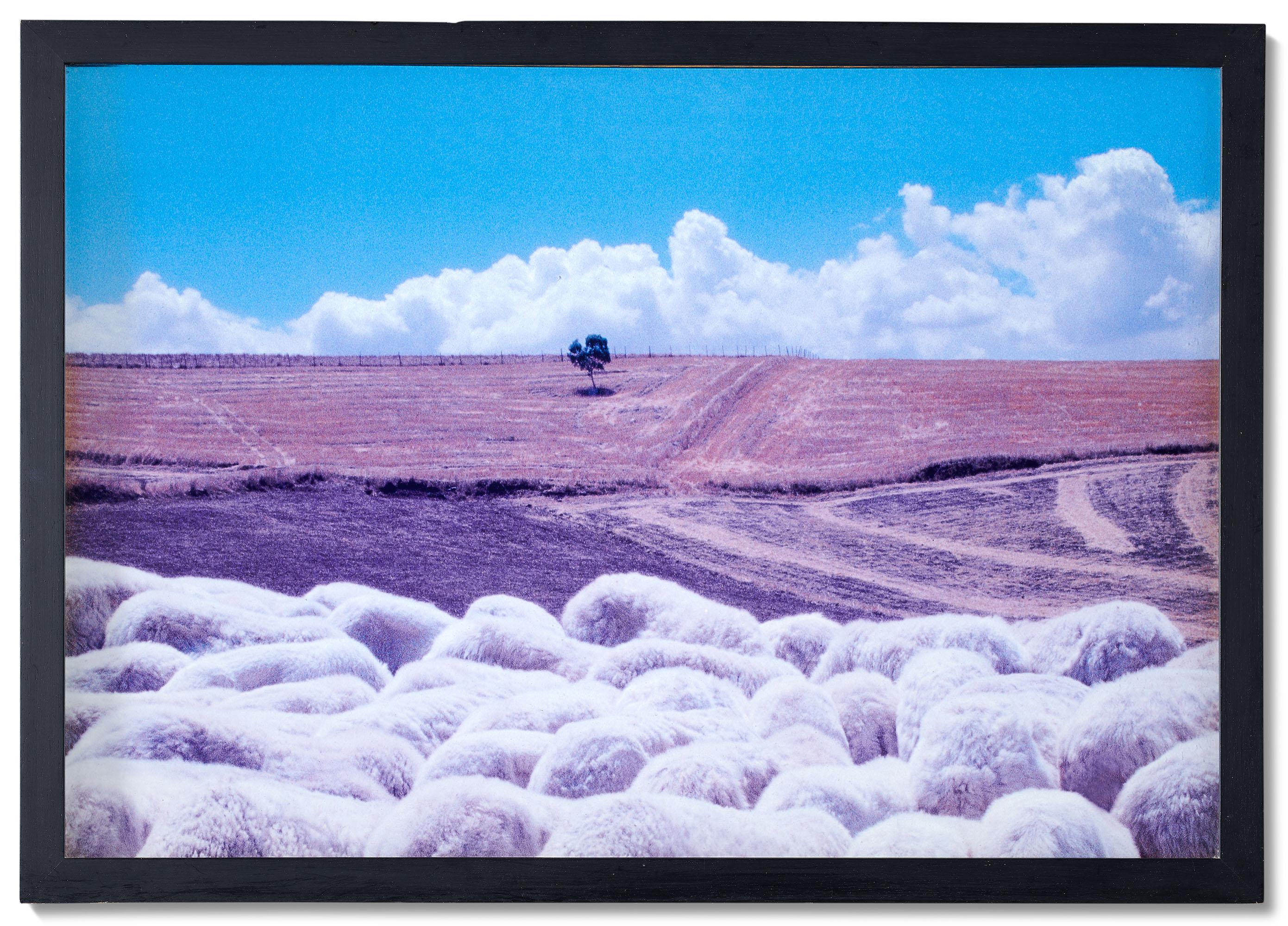 Franco Fontana - Paesaggio Sicilia