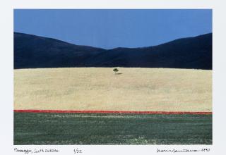 Franco Fontana - Paesaggio, South Dakota 1990