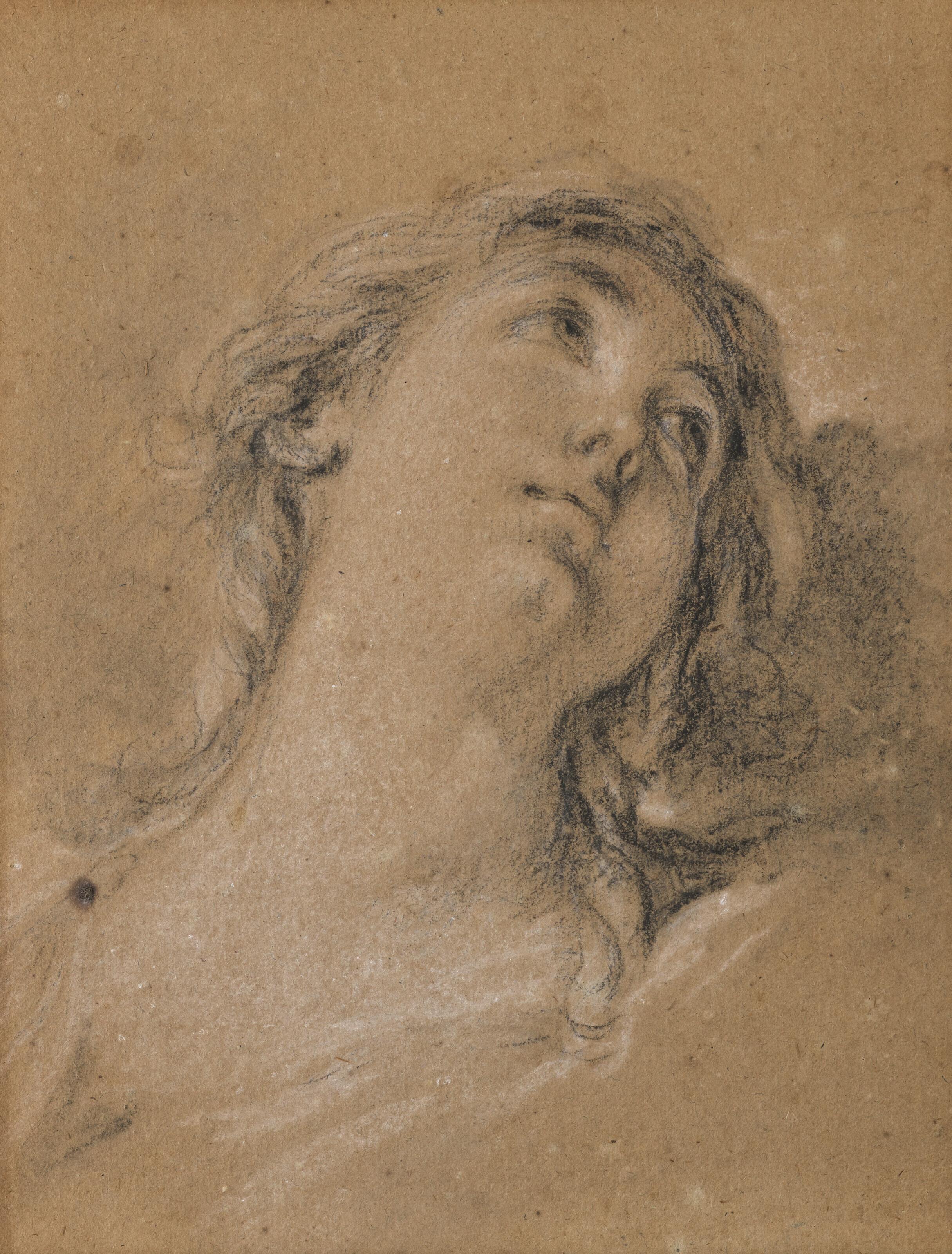 François Boucher - Head of a young woman, looking up