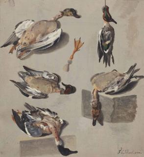 François Cornelis Knoll - Studies of a teal duck and other wild duck ( recto ); A seated man reading ( verso )