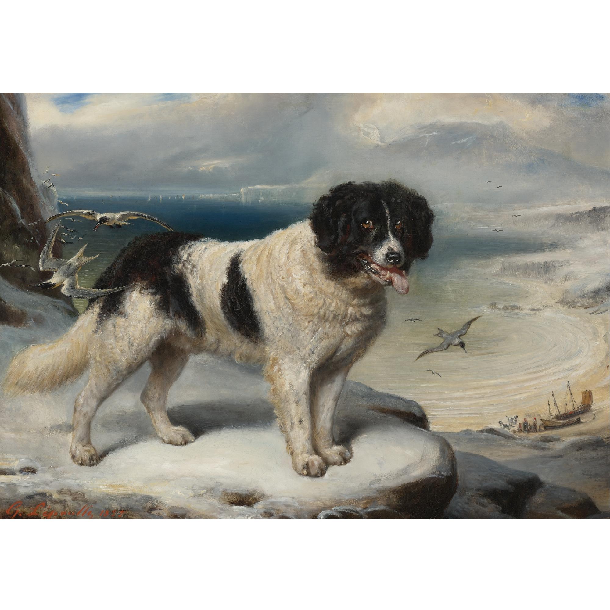 François Gabriel Guillaume Lépaulle - Rome- Chien De Terre-Neuve: A Newfoundland 