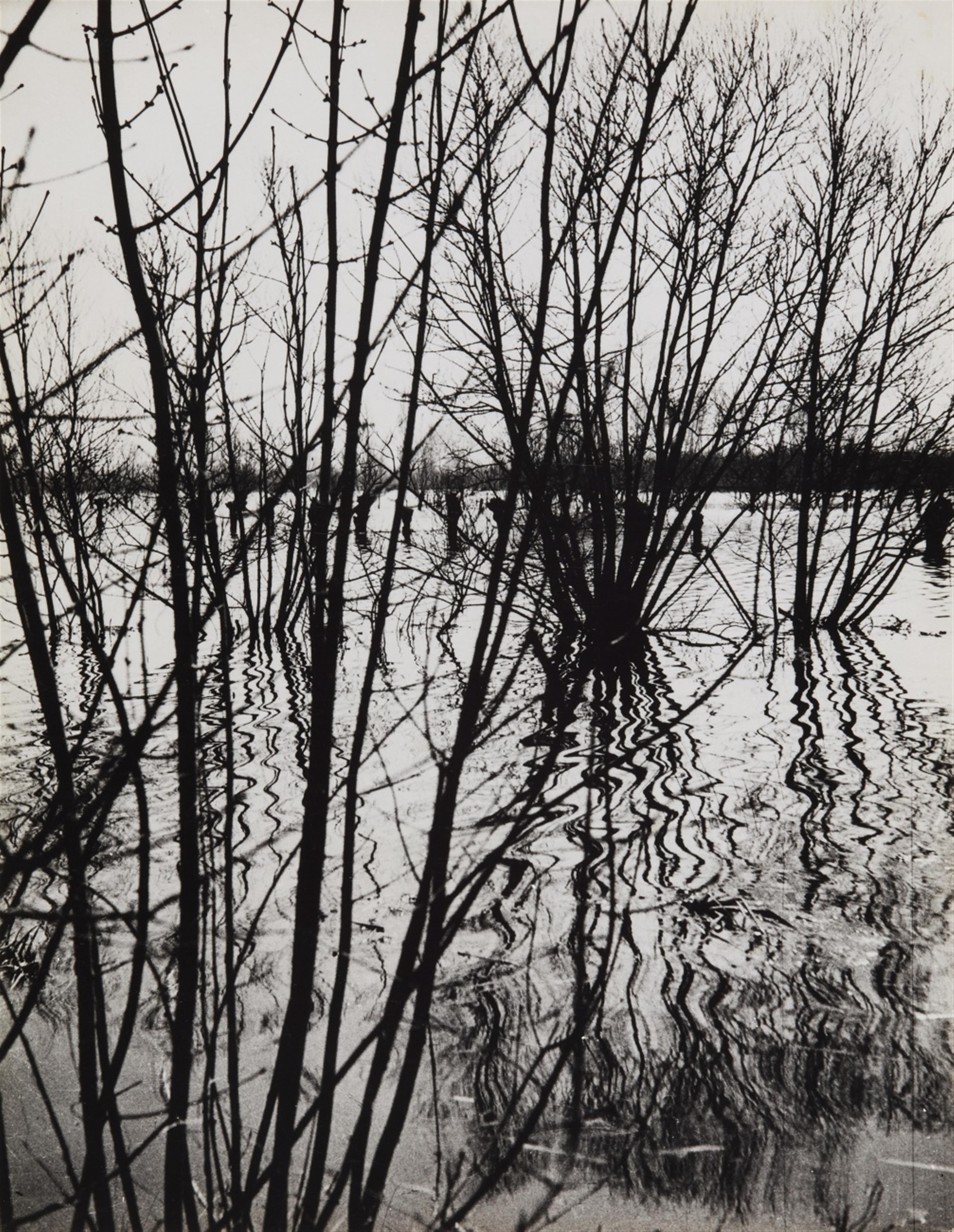 François Kollar - Hochwasser, Poitou