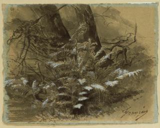 Francois-Louis Francais - Des fougères devant des troncs d\'arbres