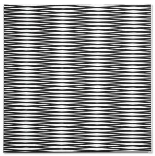 François Morellet - 2 trames simples -5° +5°