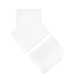 François Morellet - Léonard de Vinci défiguré