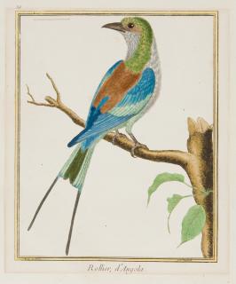 François Nicolas Martinet - 2 Bll.: Racken.