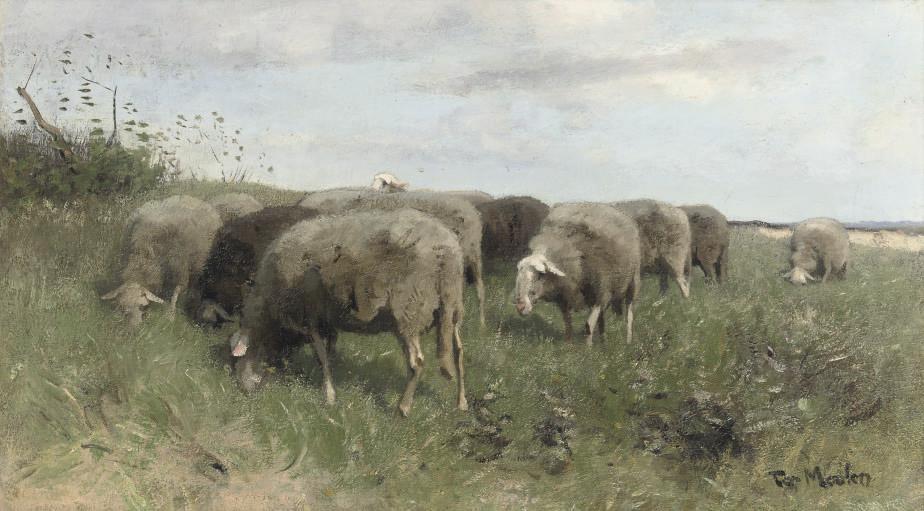 François Pieter ter Meulen - Grazing sheep
