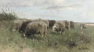 François Pieter ter Meulen - Grazing sheep
