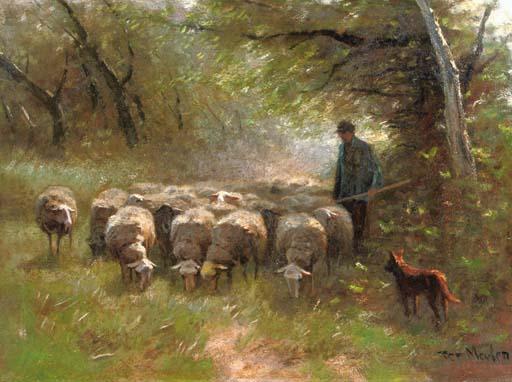 Francois Pieter Ter Meulen - Grazing sheep