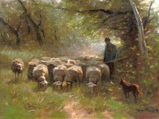 Francois Pieter Ter Meulen - Grazing sheep