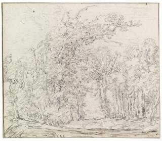 François Ryckhals - A Wooded Landscape