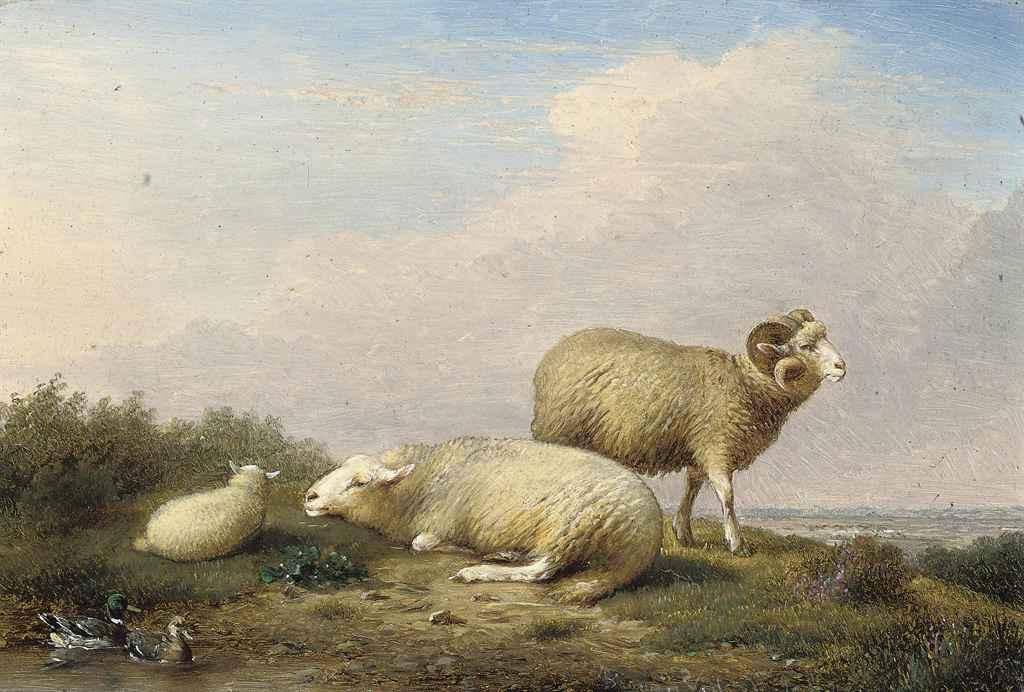 François van Severdonck - Sheep and ducks