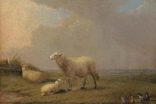 Francois Vandeverdonck - Sheep and ducks in a field