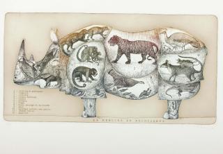 François-Xavier Lalanne - La Mémoire Du Rhinocéros
