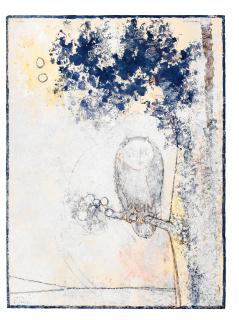 Françoise Gilot - Le hibou