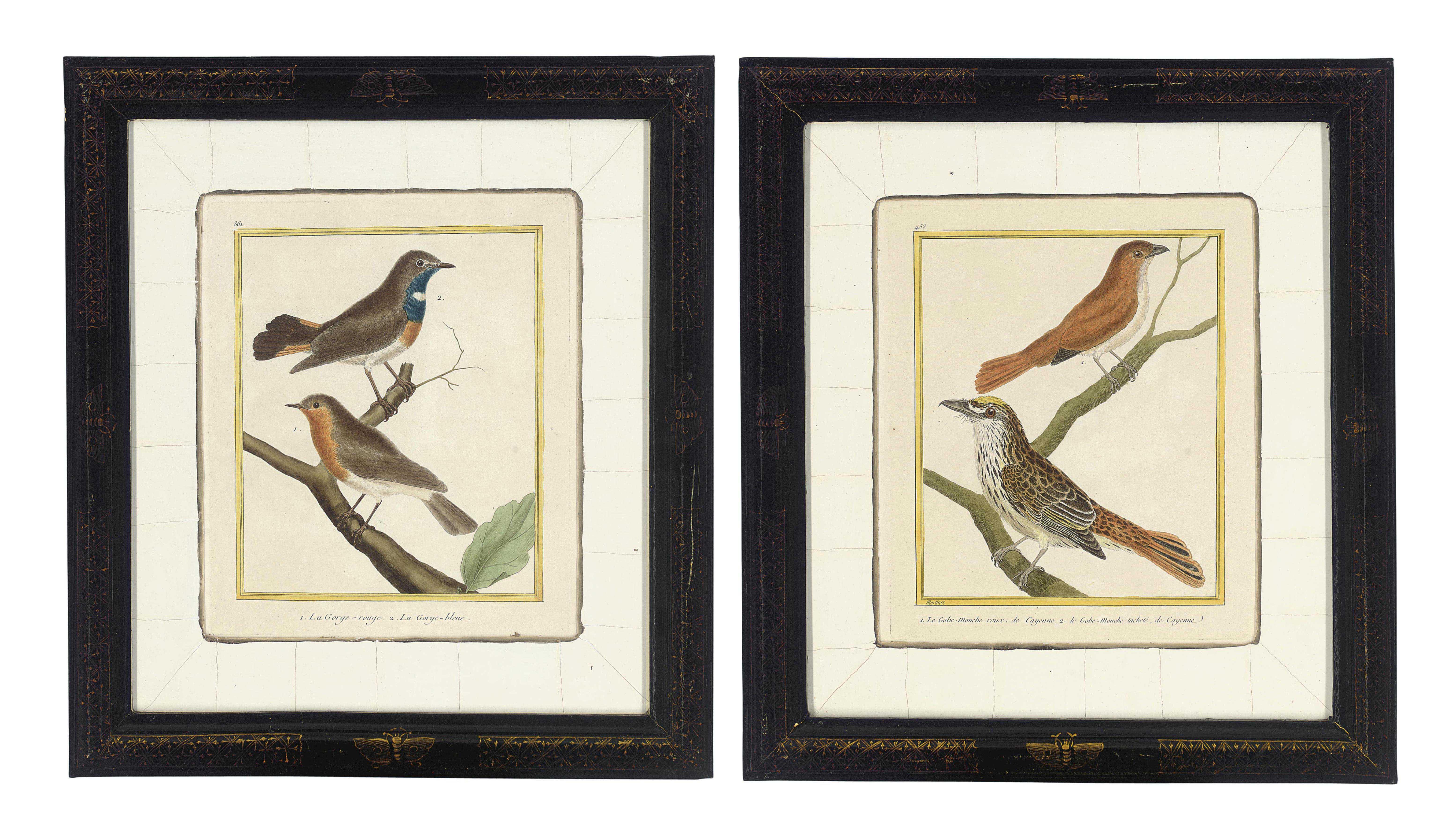 Françoise Nicolas Martinet - Studies of Birds from \'Histoire Naturelle des Oiseaux\'