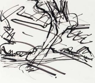 Frank Auerbach - Study for Tree on Primrose Hill