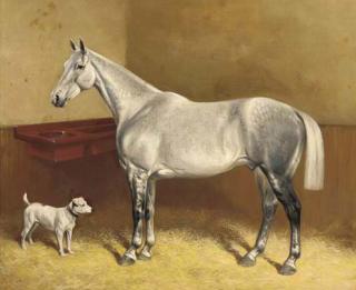 Frank Babbage - A dappled grey and a terrier in a stable