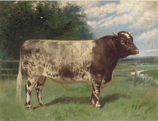 Frank Babbage - Barton Victor, a prize bull
