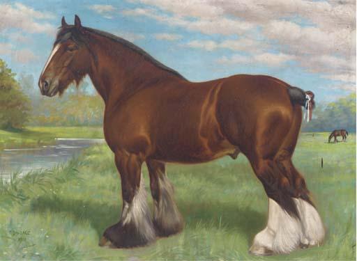 Frank Babbage - Bearwardcote Blaze, a prize-winning shire horse