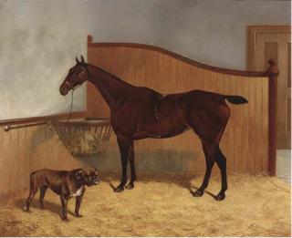 Frank Babbage - Rebecca, a bay hunter with Billy, a bulldog, in a stable