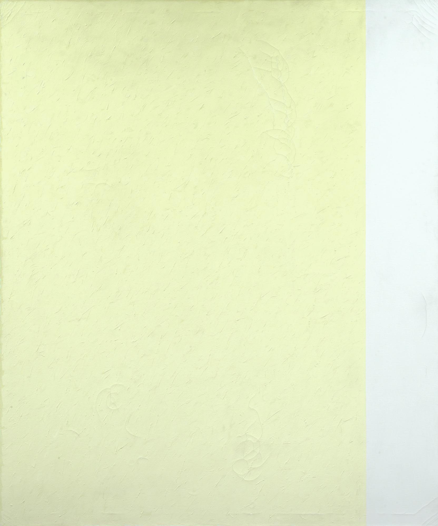 Frank Badur - Field, 1990