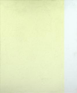 Frank Badur - Field, 1990