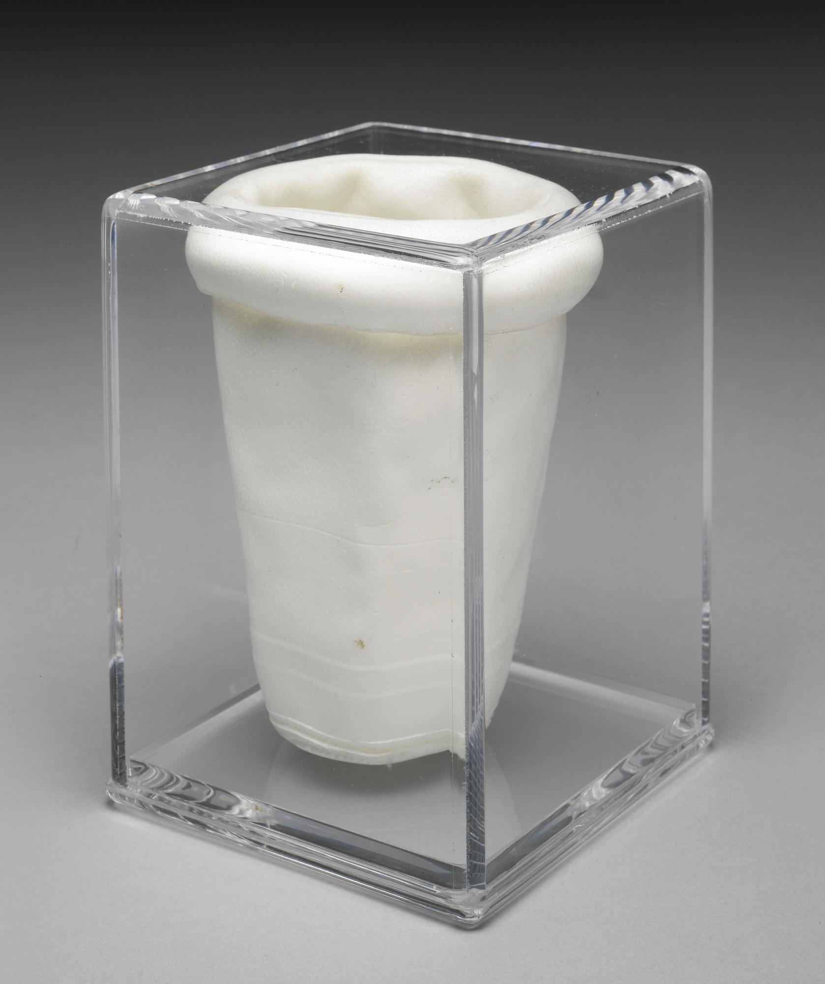 Frank Benson - Inside Out Styrofoam Cup