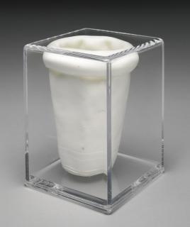 Frank Benson - Inside Out Styrofoam Cup