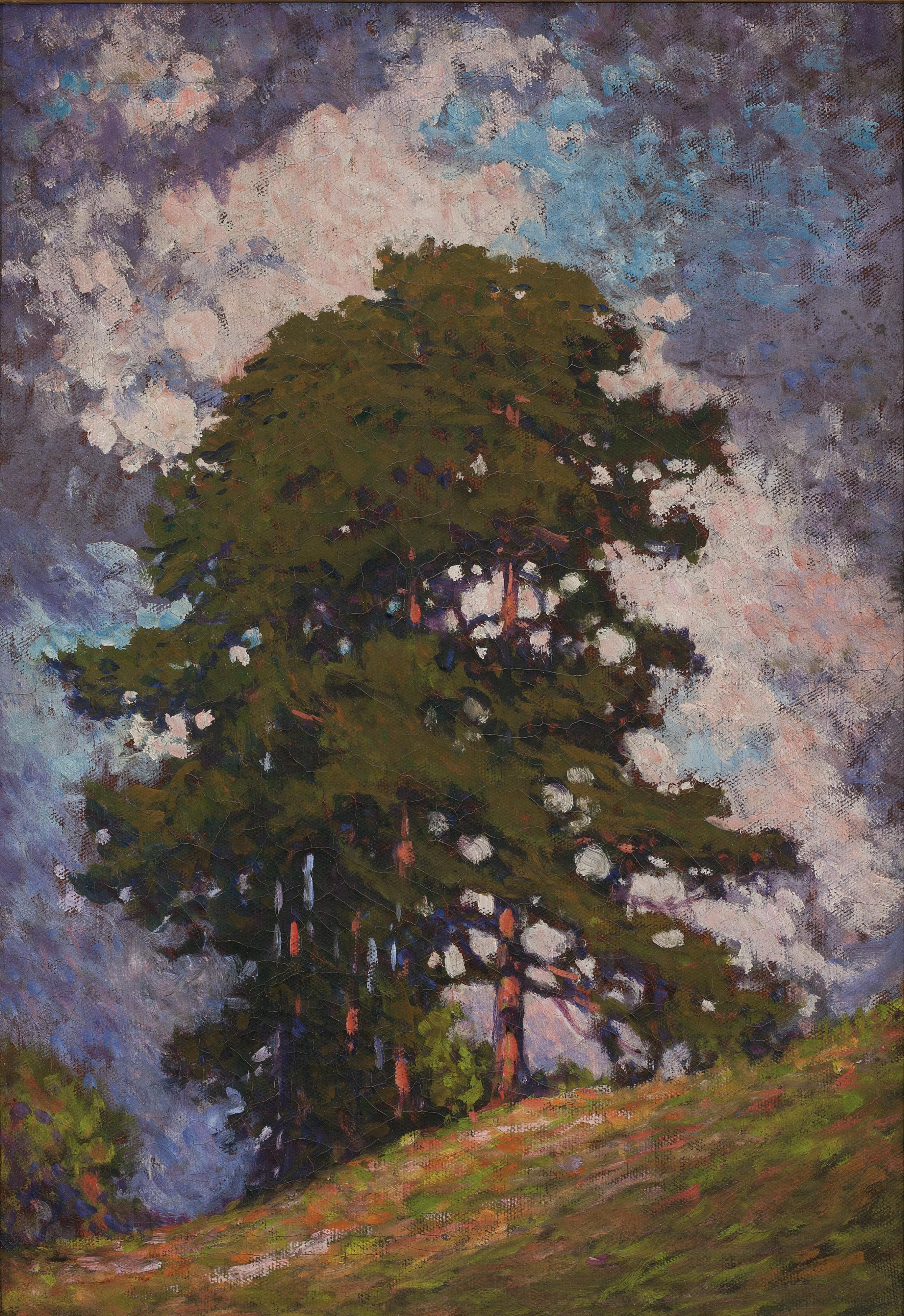 Frank (Franz) Hans Johnston - Hillside Trees