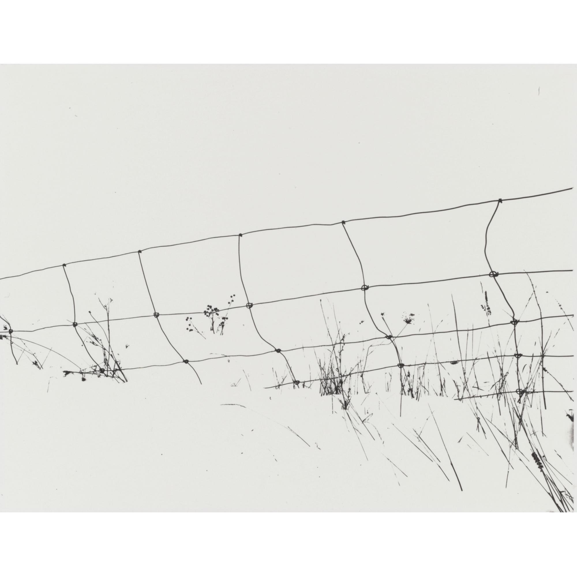 Frank Gohlke - Selected Images