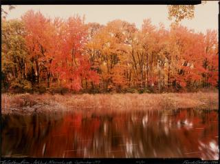 Frank Gohlke - The Sudbury River, Ashland, Massachusetts