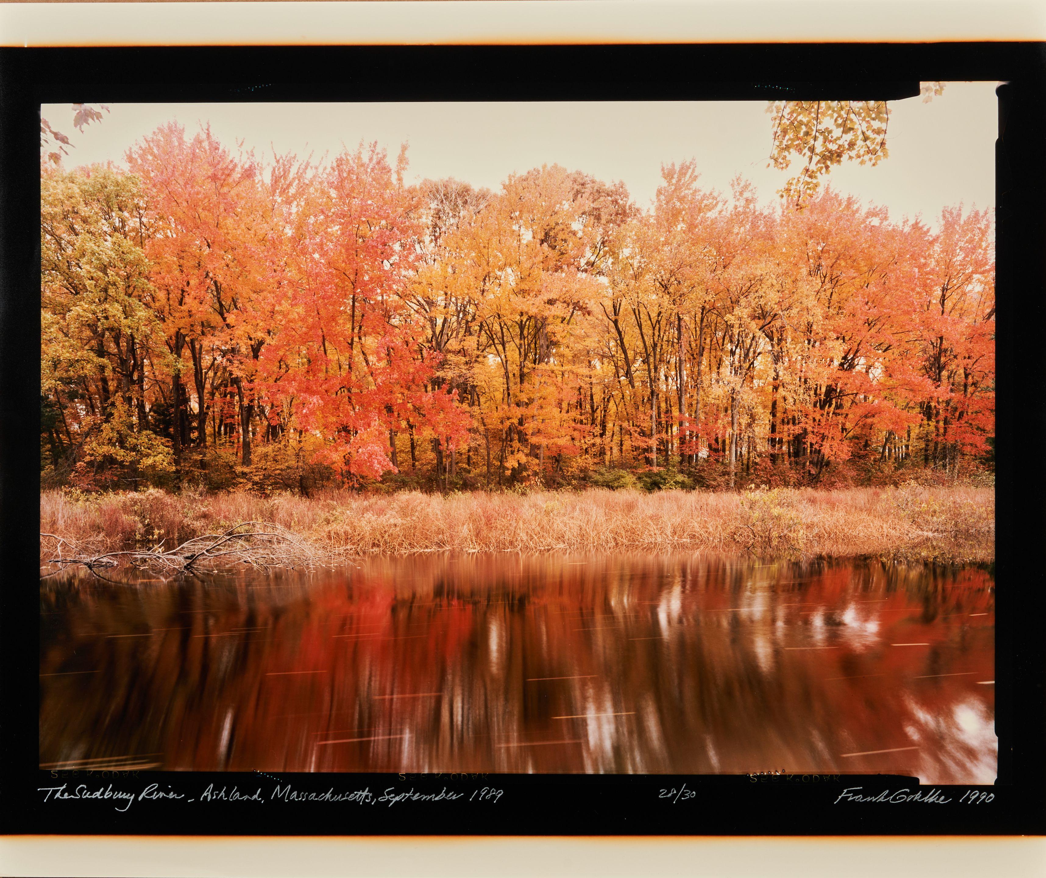 Frank Gohlke - The Sudbury River, Ashland, Massachusetts