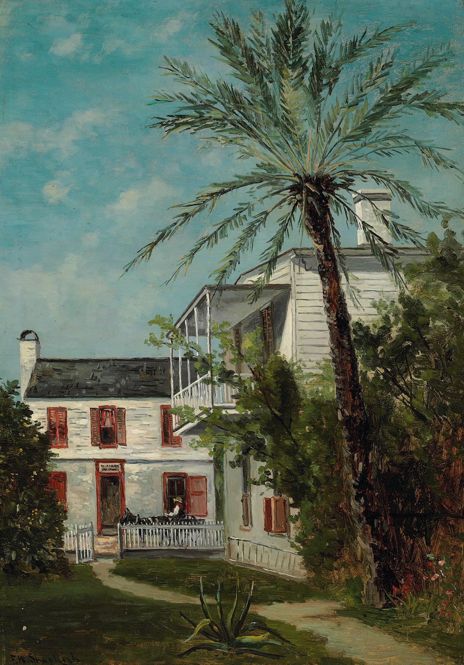 Frank Henry Shapleigh - Palm in St. Augustine, Florida