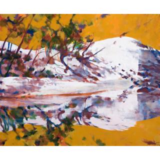 Frank Hodgkinson - Australian East Alligator Billabong Ii