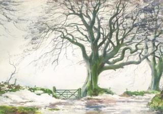 Frank J. Egginton - A wooded snow-covered landscape