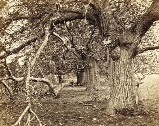 Frank Mason Good - Untitled, c. 1860