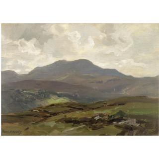 Frank Mckelvey, R.H.A., R.U.A. - Donegal Bogland