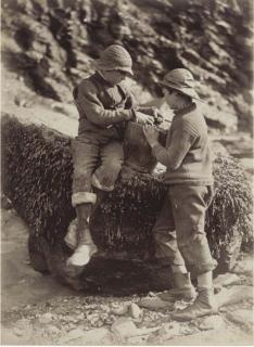 Frank Meadow Sutcliffe - Selected Images, 1870S-90S