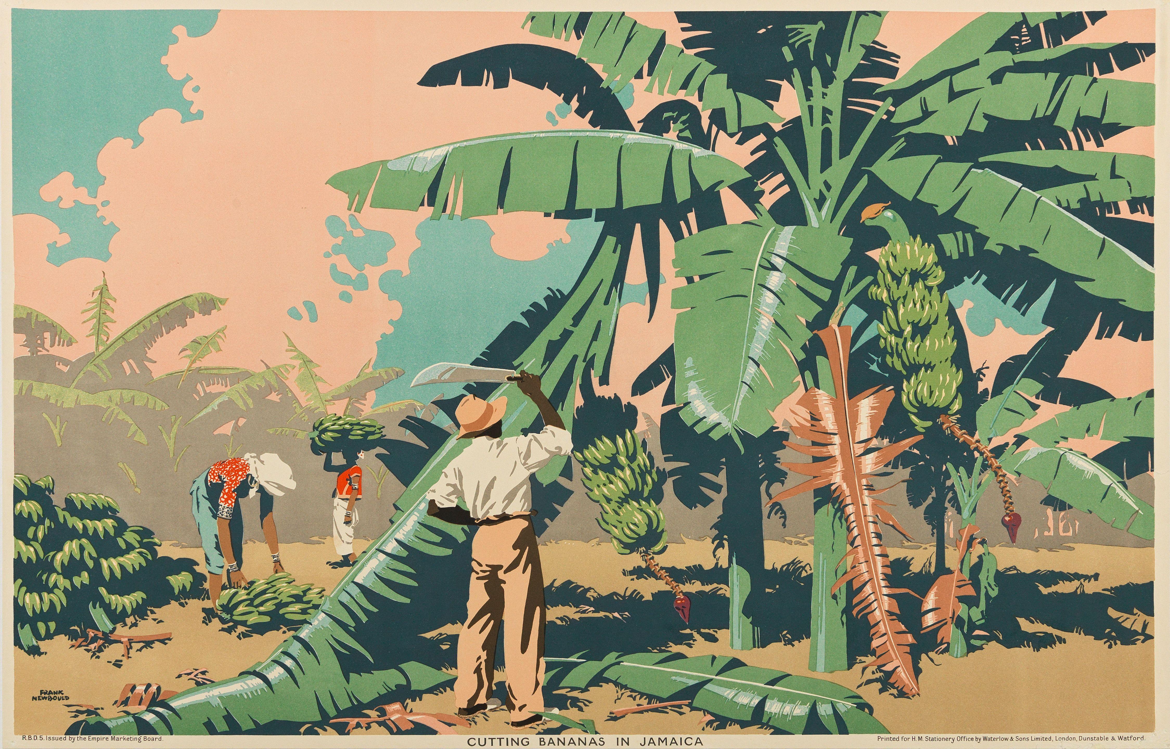 Frank Newbould - Cutting Bananas In Jamaica.Empire Marketing Board