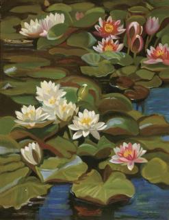 Frank Owen Salisbury - Waterlilies