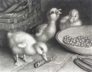 Frank Paton - A ducklings feast; You\'ve no chicken; Are you there?; and The good old days