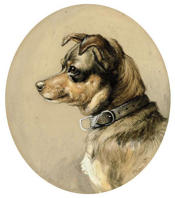Frank Paton - A favourite Terrier
