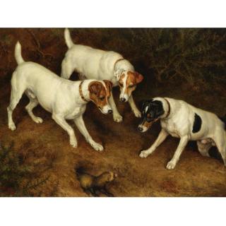 Frank Paton - Not At Home: Cracknell, Olive And Jack Russell On A Ferret
