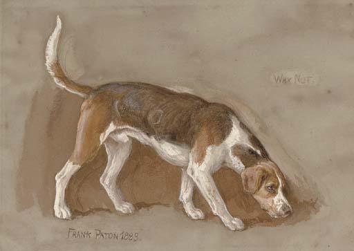 Frank Paton - Why not