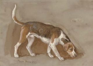 Frank Paton - Why not