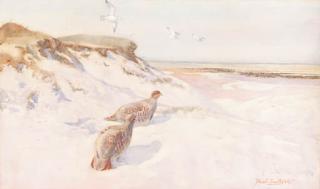 Frank Southgate, R.B.A. - Partridges having a dust bath