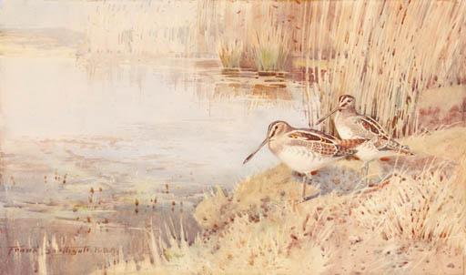 Frank Southgate, R.B.A. - Snipe