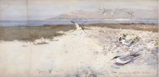 Frank Southgate - Gulls on the beach