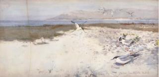 Frank Southgate - Gulls on the beach